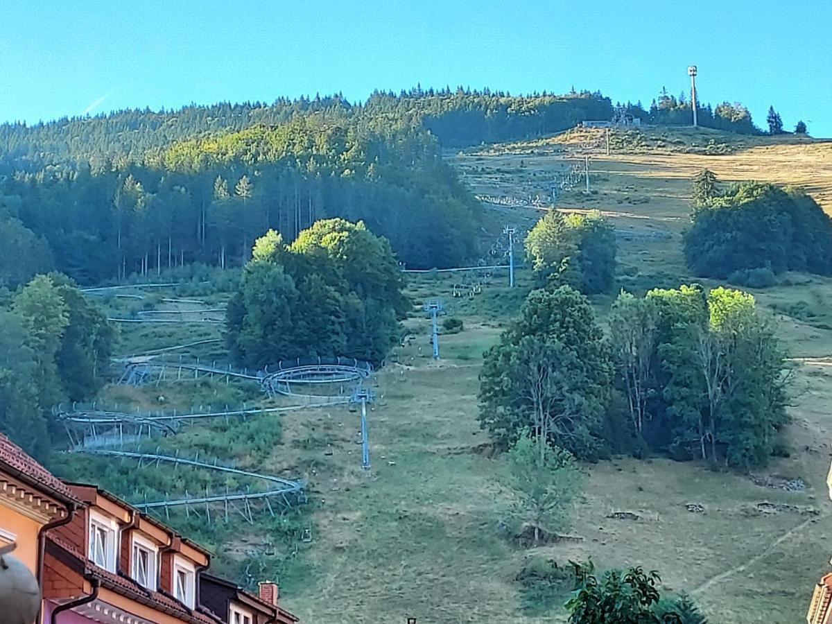 Hotel Sonne Тодтнау Экстерьер фото
